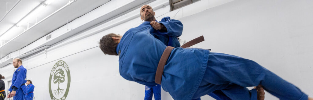 Mma Tree Judo - Good Tree MMA